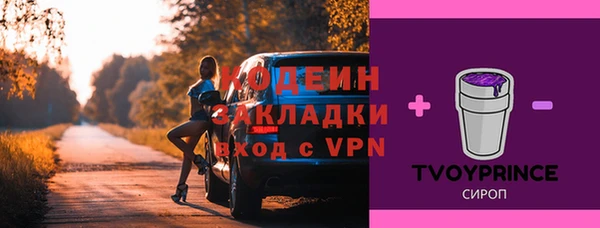 apvp Верея