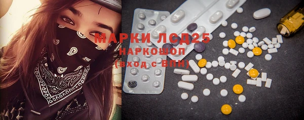 apvp Верея