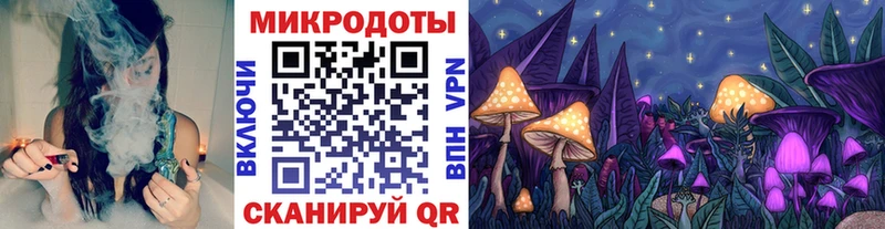 OMG ONION  Кимовск  Галлюциногенные грибы Magic Shrooms 